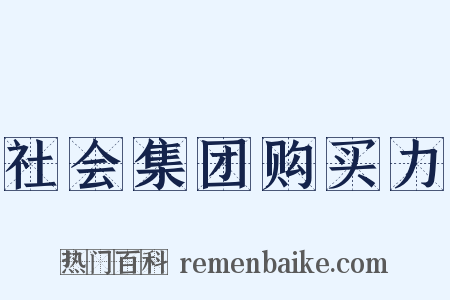 社会集团购买力是什么意思的图片